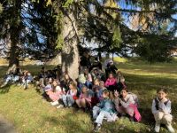 Czytaj więcej: Zielona szkoła w Karpaczu 21-26.10.2024