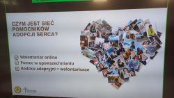  Adopcja serca