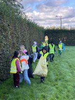  Sprzątanie dla Polski II