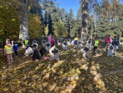  Odwiedzamy cmentarze