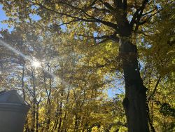  Odwiedzamy cmentarze