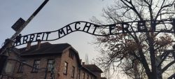  Auschwitz