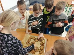  Projekt prozdrowotny